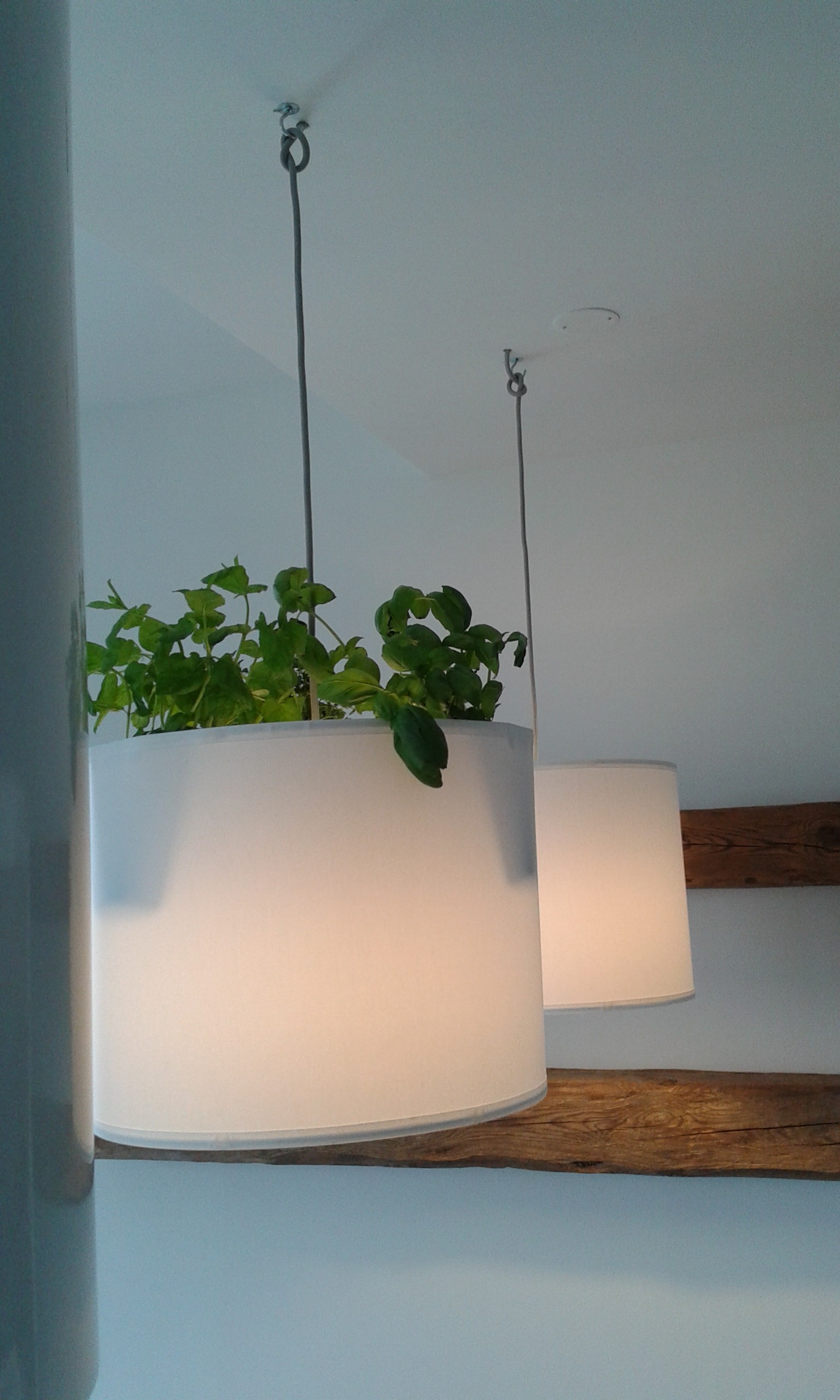 20150325_135716