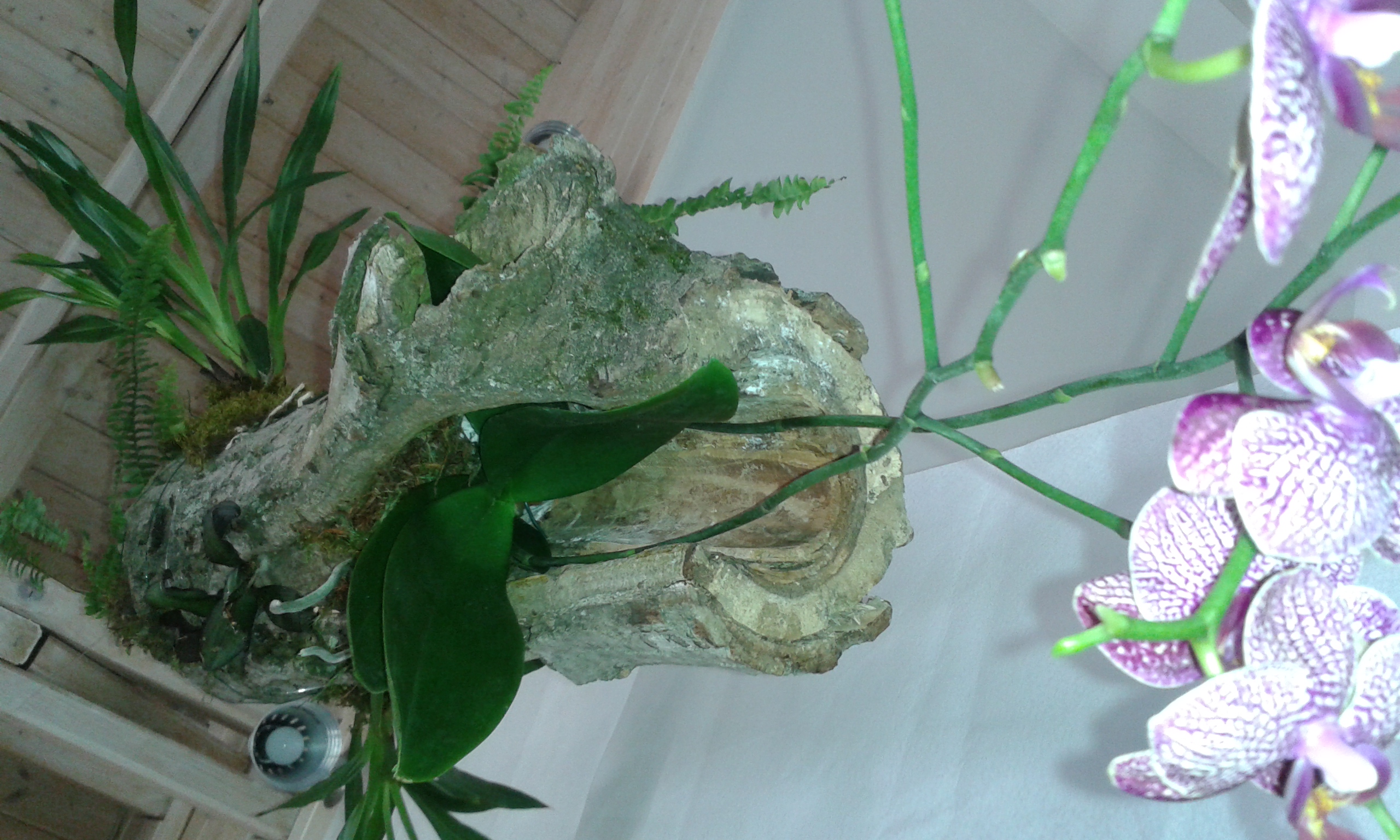 20150405_152911