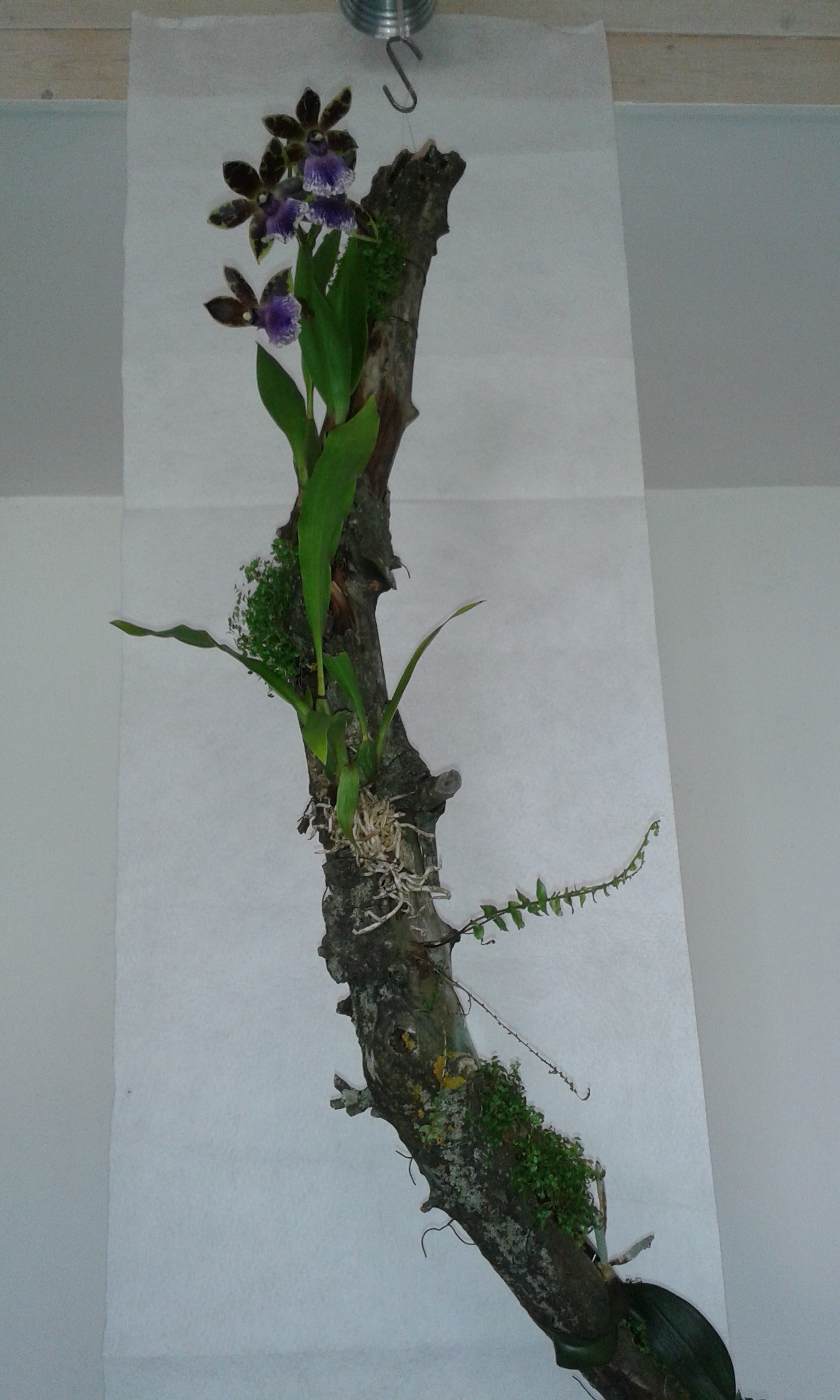 20150405_153550