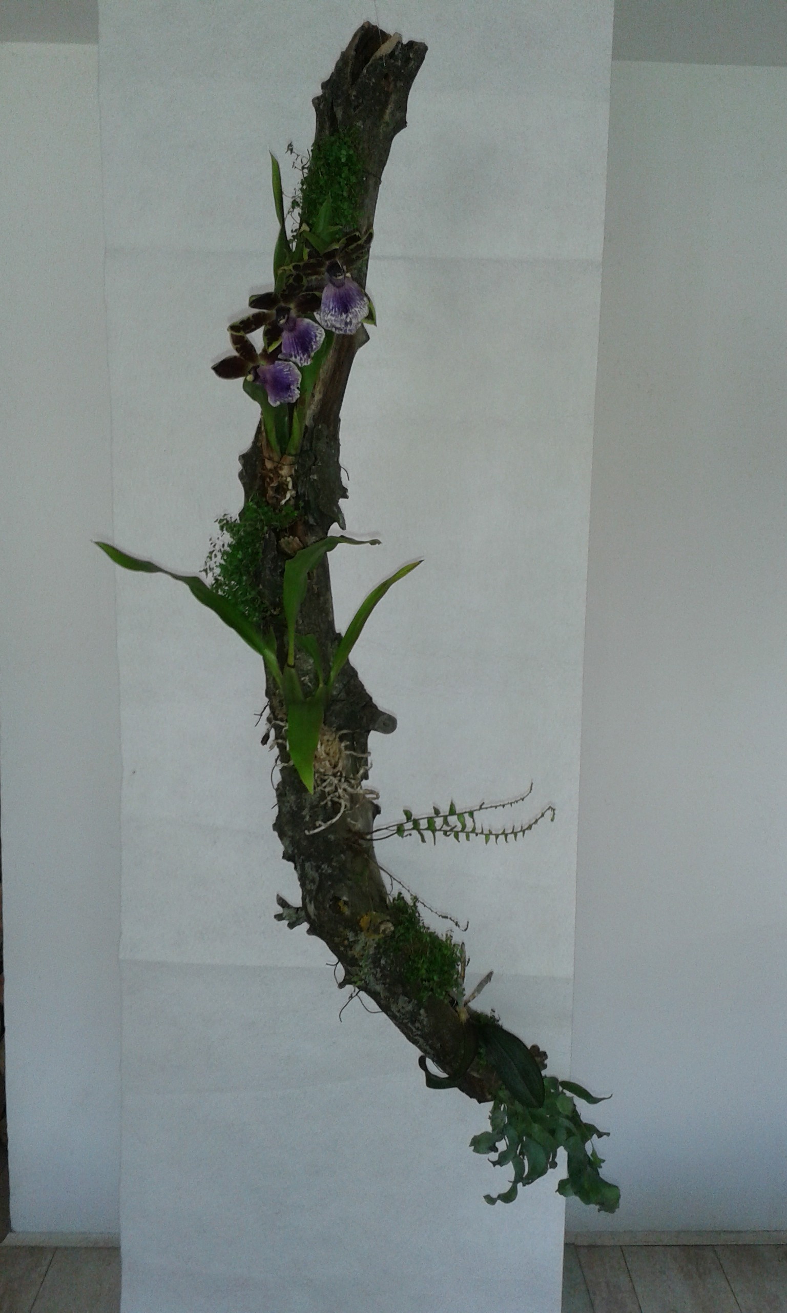 20150405_153639